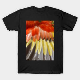 Rainbow Lorikeets Wing Feathers at Magpie Springs by Avril Thomas T-Shirt